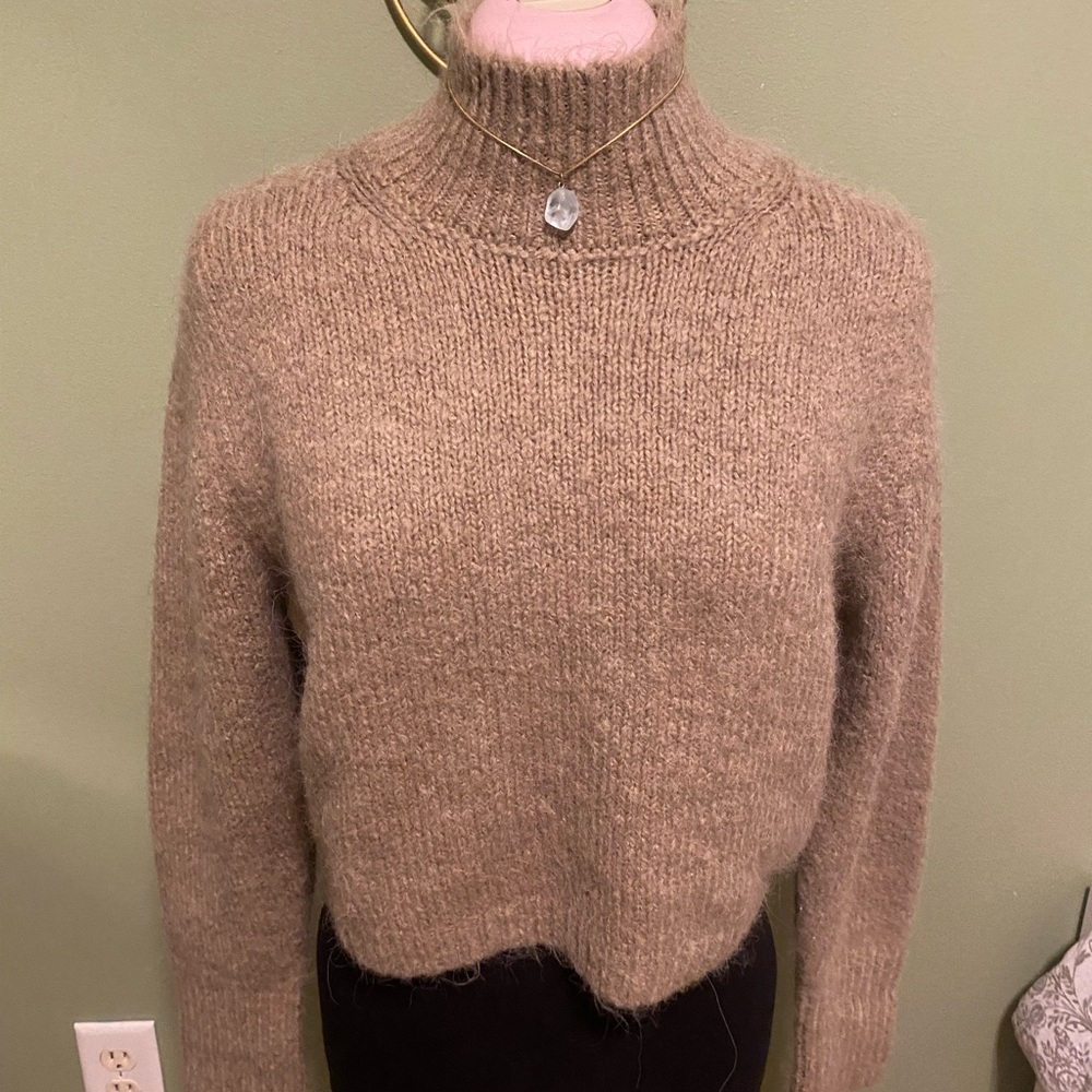 Zara Brown Turtleneck Sweater